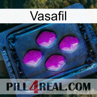 Vasafil 04